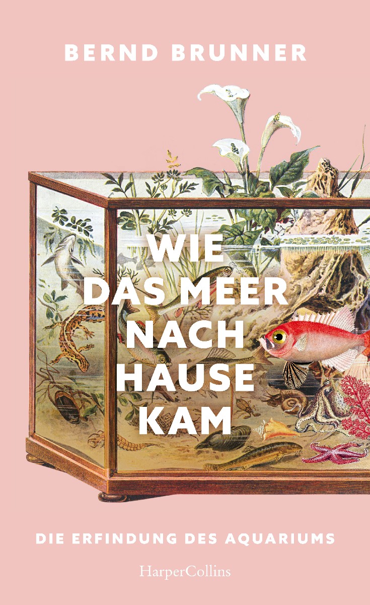 Wie das Meer nach Hause kam. Die Erfindung des...