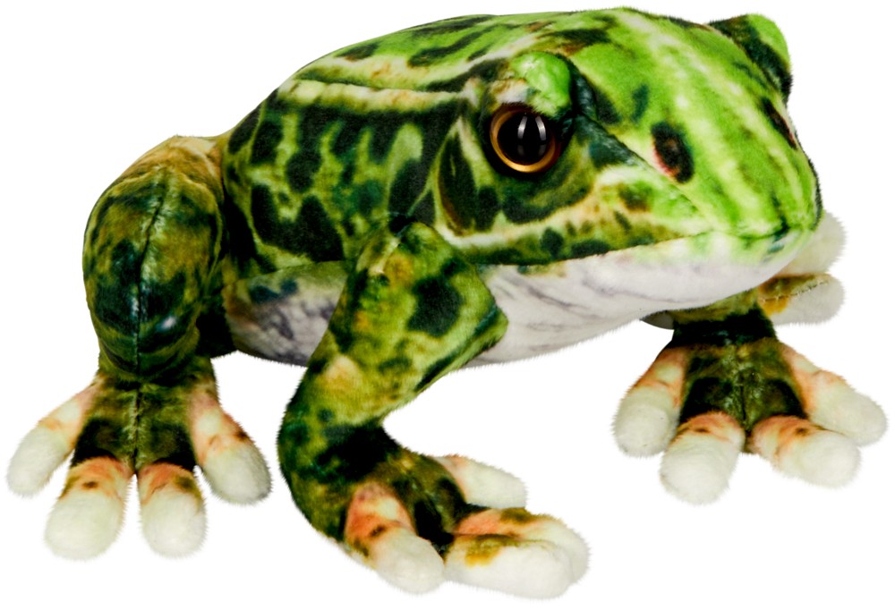 Nature Zoom Wild: Frosch (Plüsch)