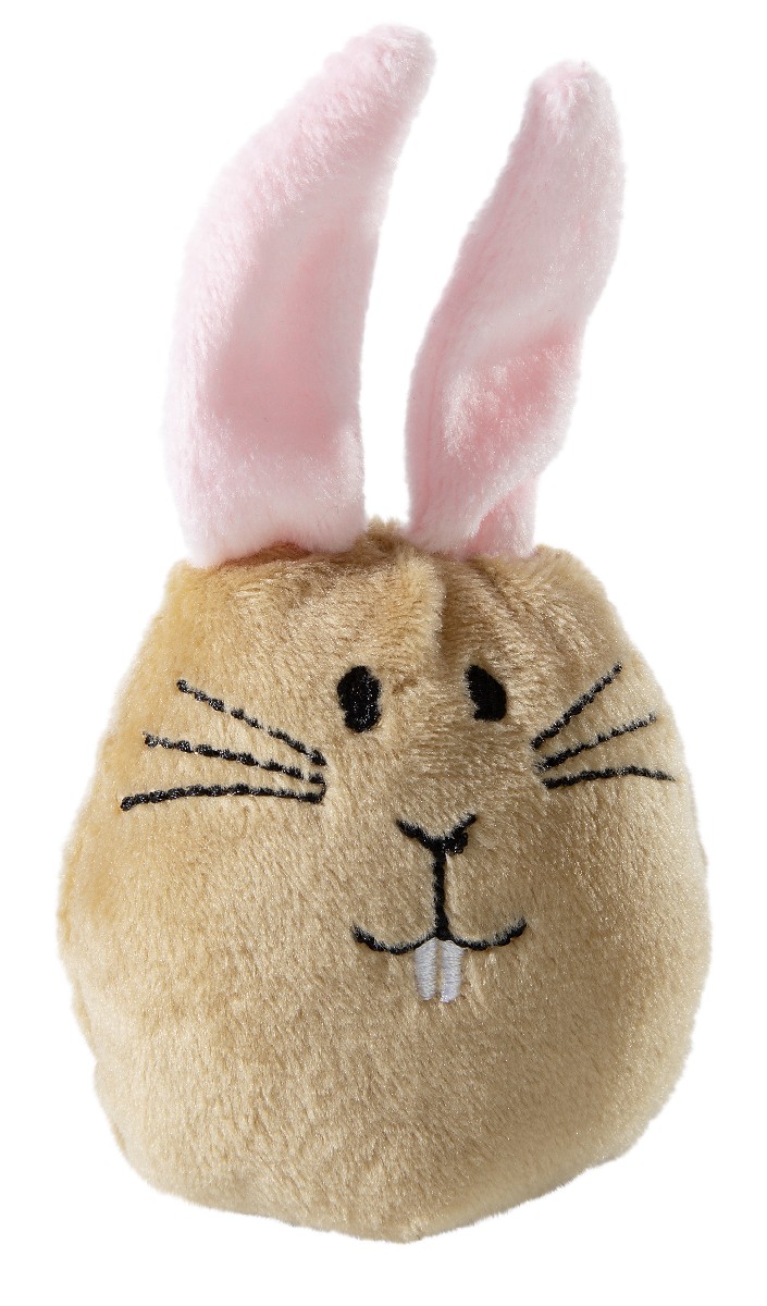 Hase