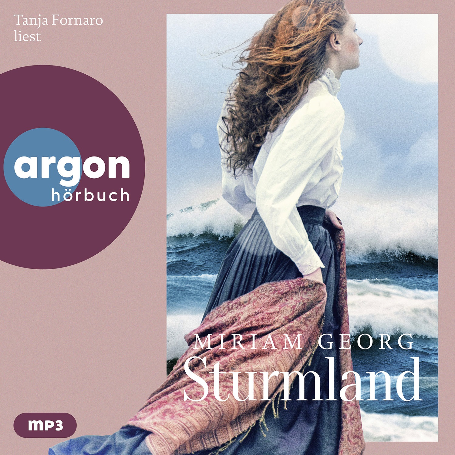Sturmland (Lesung) (mp3)