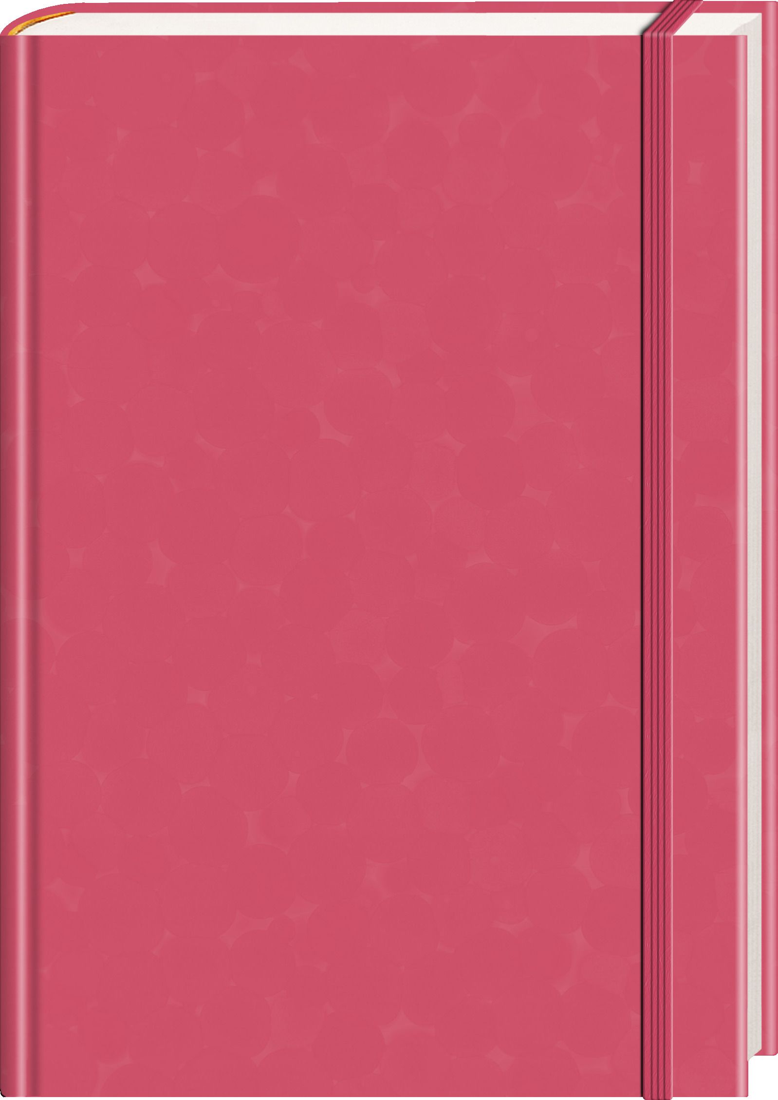 Anaconda Notizbuch/Notebook/Blank Book, punktiert, texti...