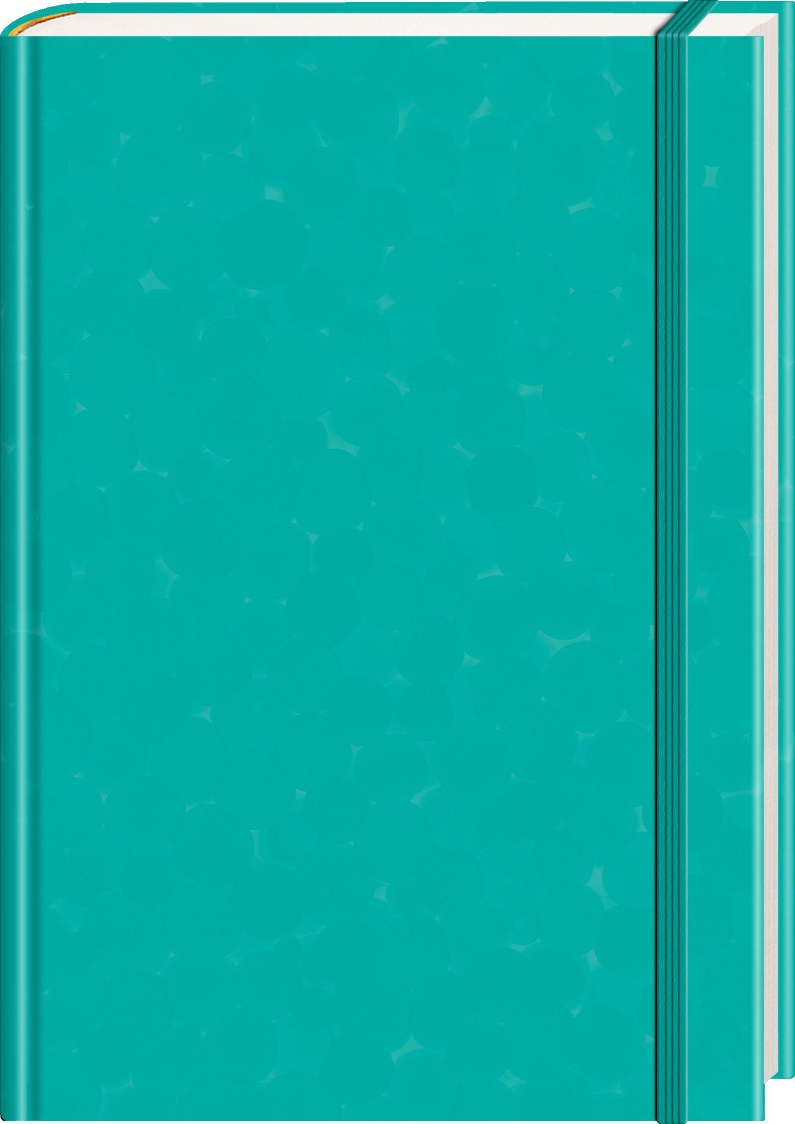 Anaconda Notizbuch/Notebook/Blank Book, punktiert, texti...