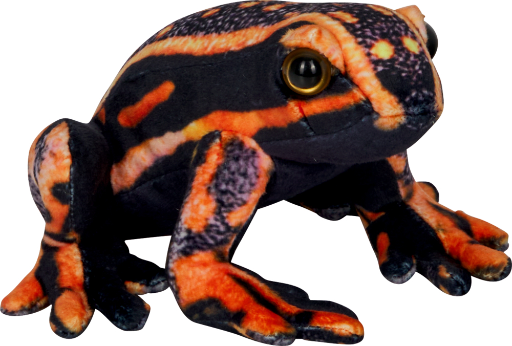 Nature Zoom Wild: Pfeilgiftfrosch (17cm)