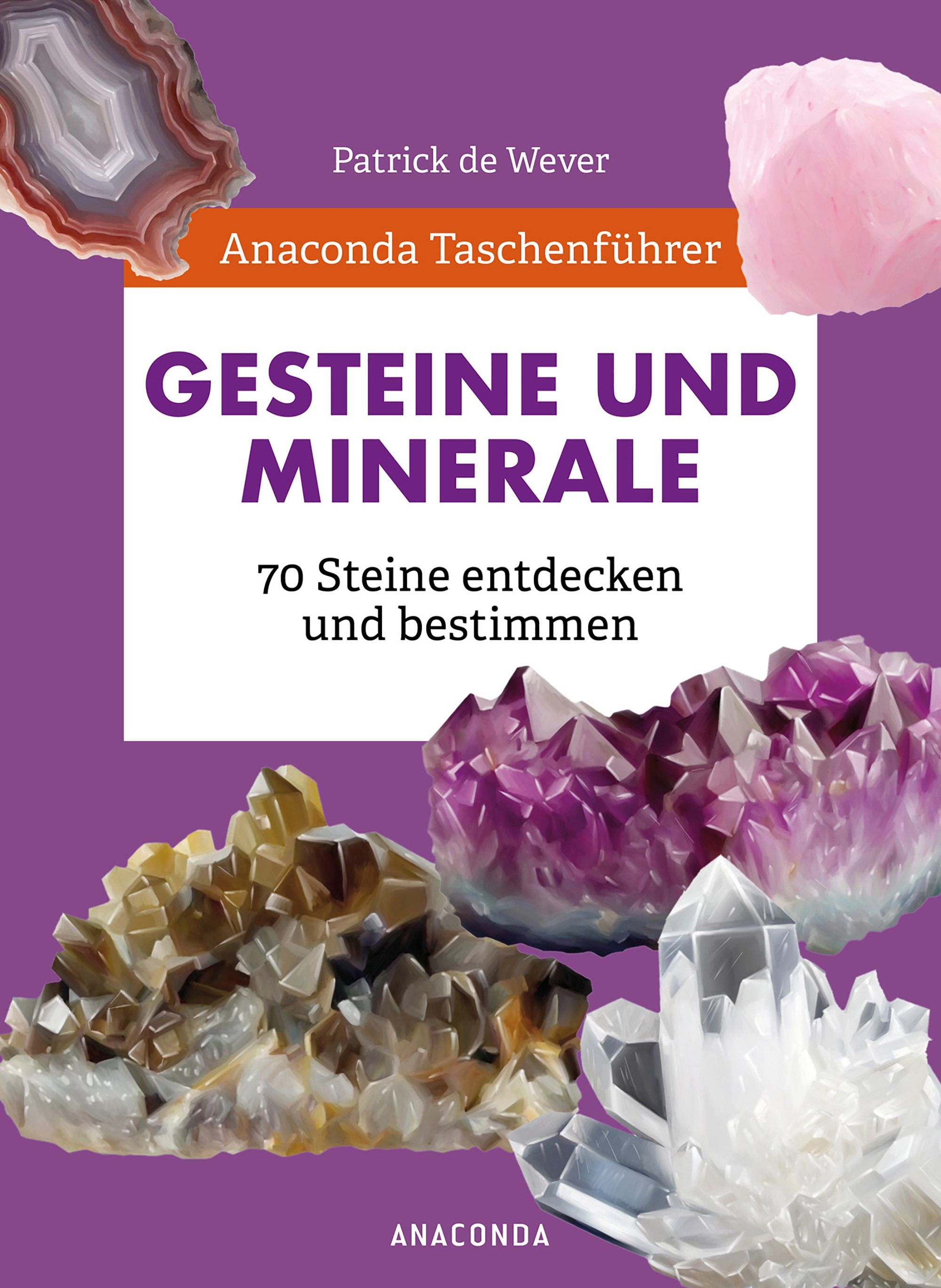 Anaconda Taschenführer Gesteine und Minerale. 70 Steine ...