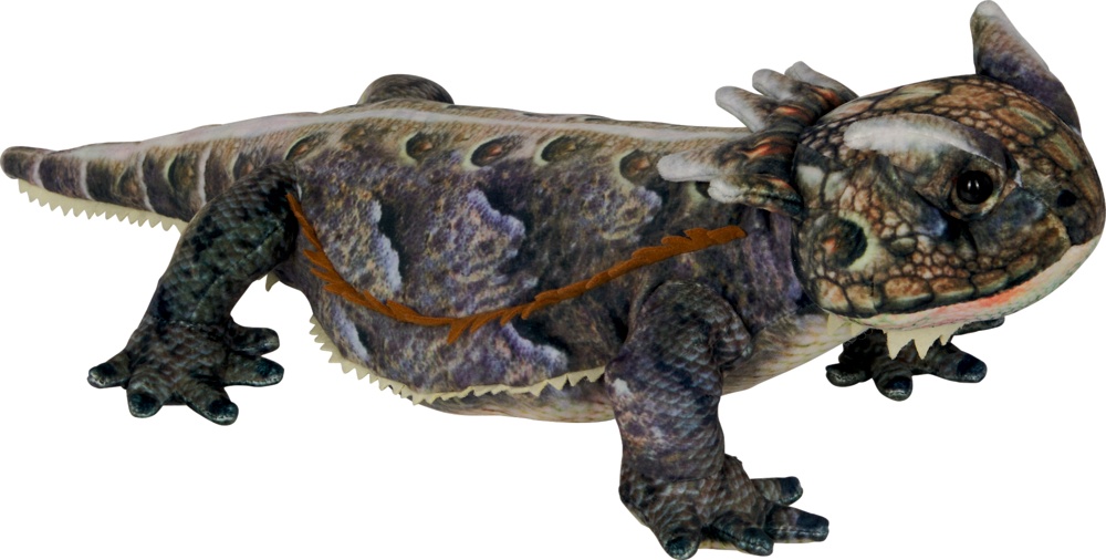 Nature Zoom Wild: Horneidechse (50cm)