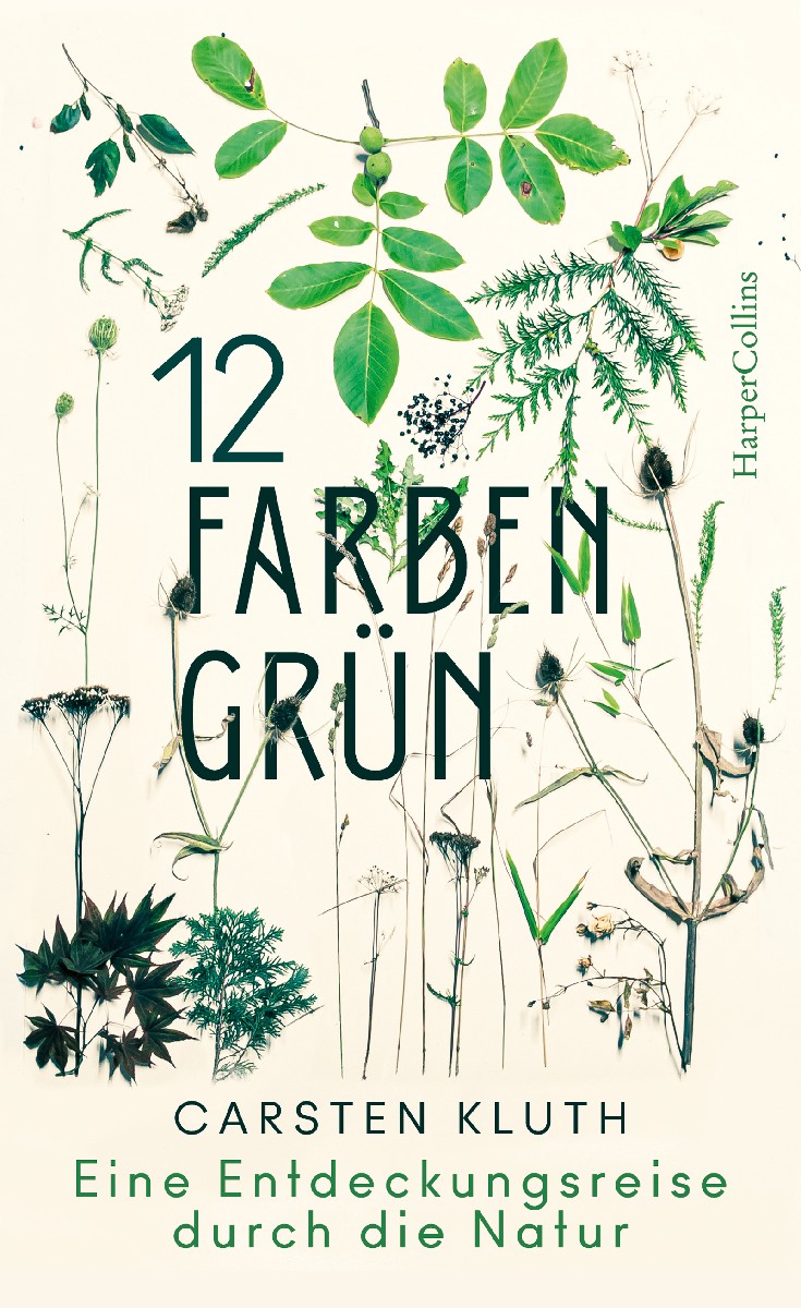 12 Farben Grün. Eine Entdeckungsreise durch di...