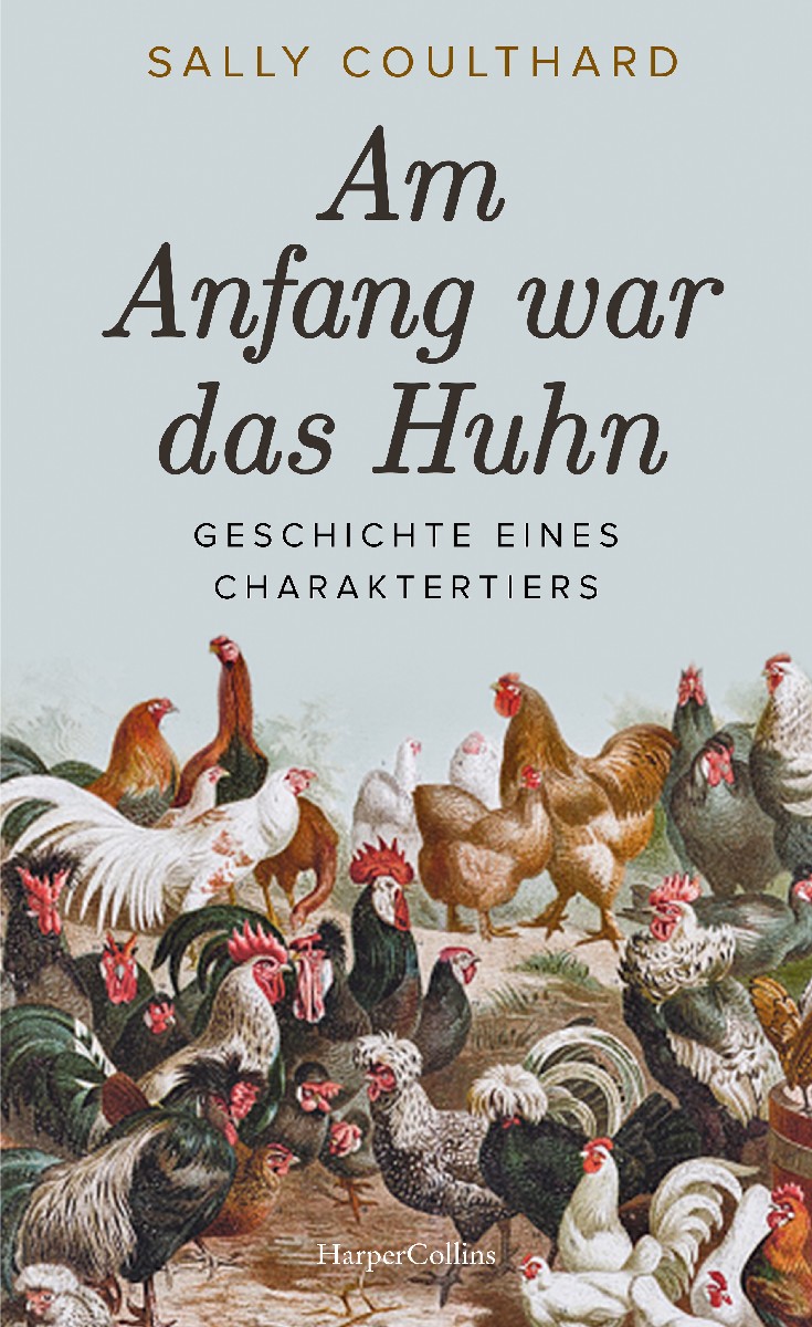 Am Anfang war das Huhn. Geschichte eines Chara...