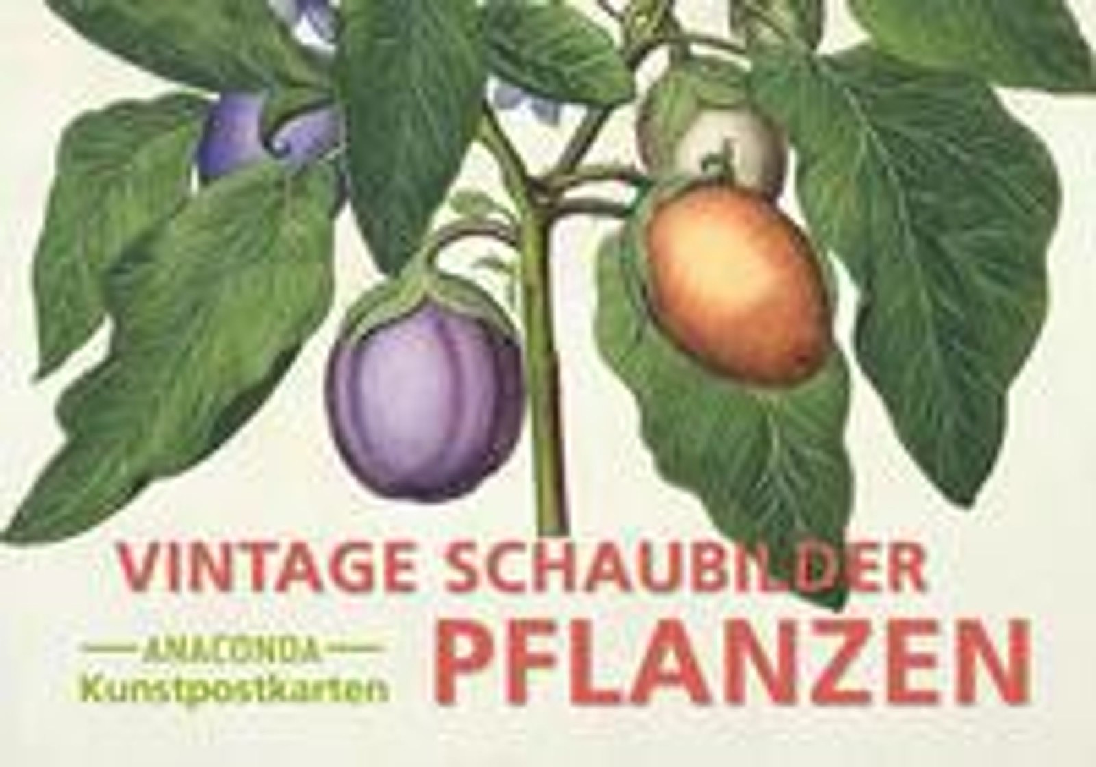 Postkarten-Set Vintage: Schaubilder Pflanzen