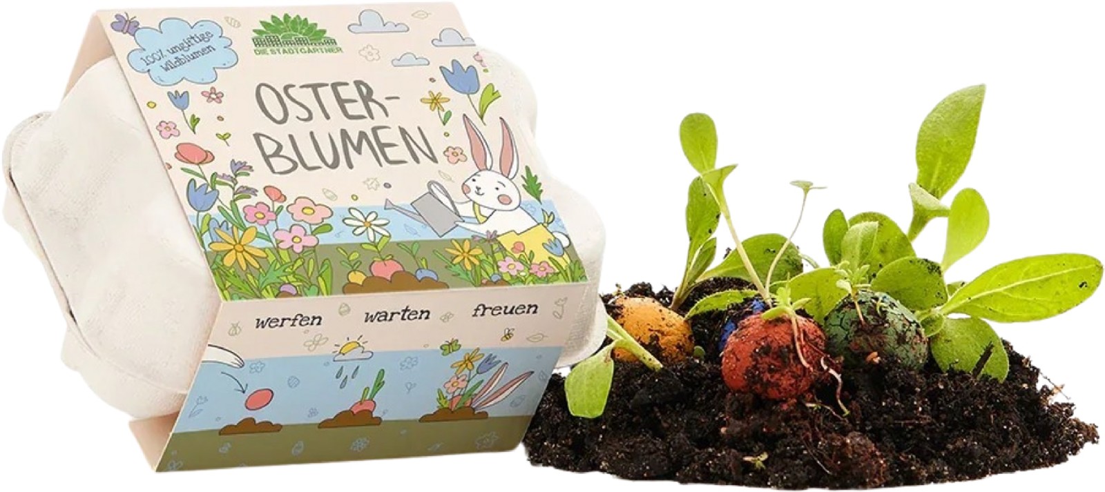 6 Blumenmurmeln in einer Pappschachtel