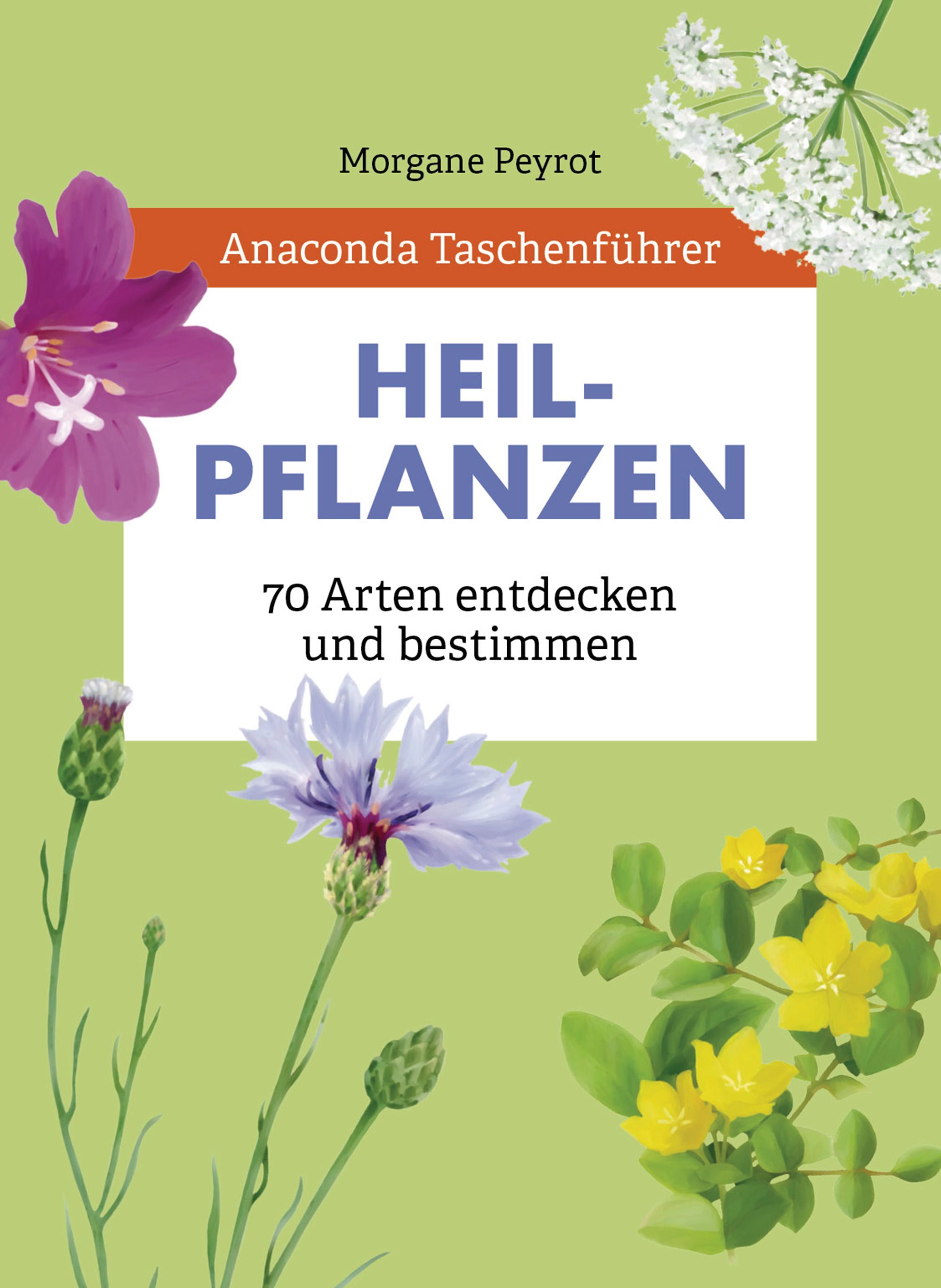 Anaconda Taschenführer Heilpflanzen. 70 Arten entdecken ...