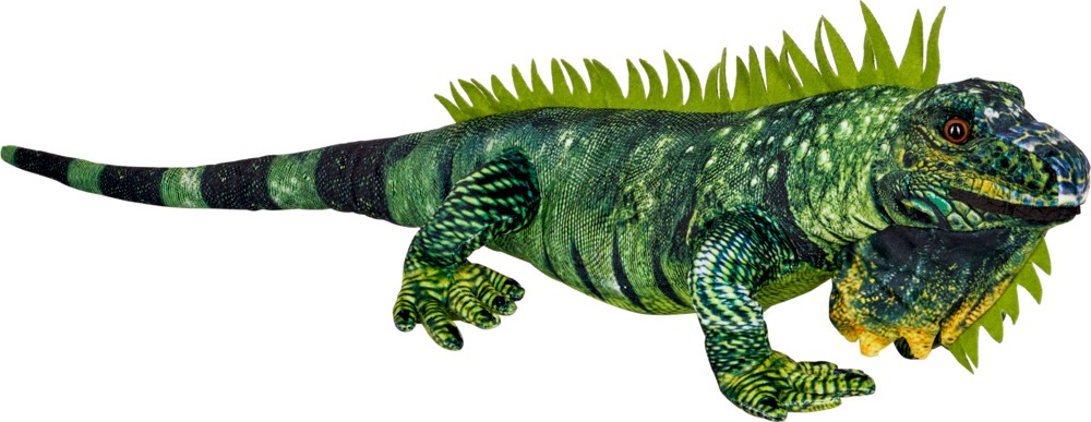 Nature Zoom Wild: Grüner Leguan (88cm)