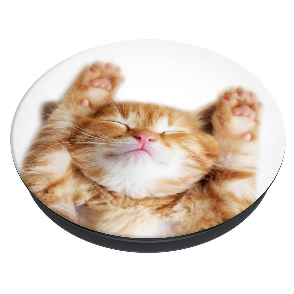 PopSockets Basis Schmusekatze