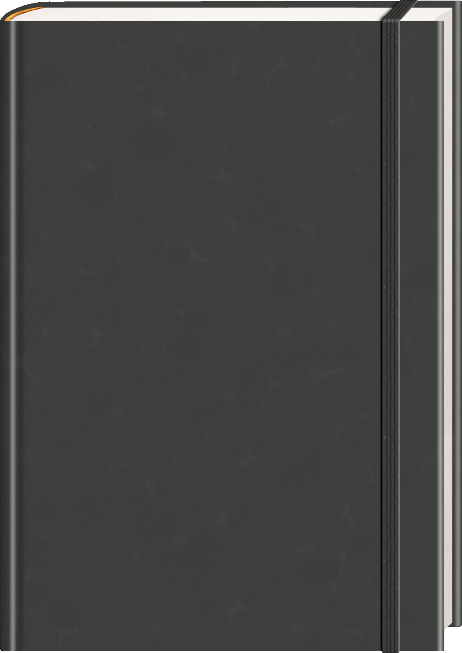 Anaconda Notizbuch/Notebook/Blank Book, punktiert, texti...