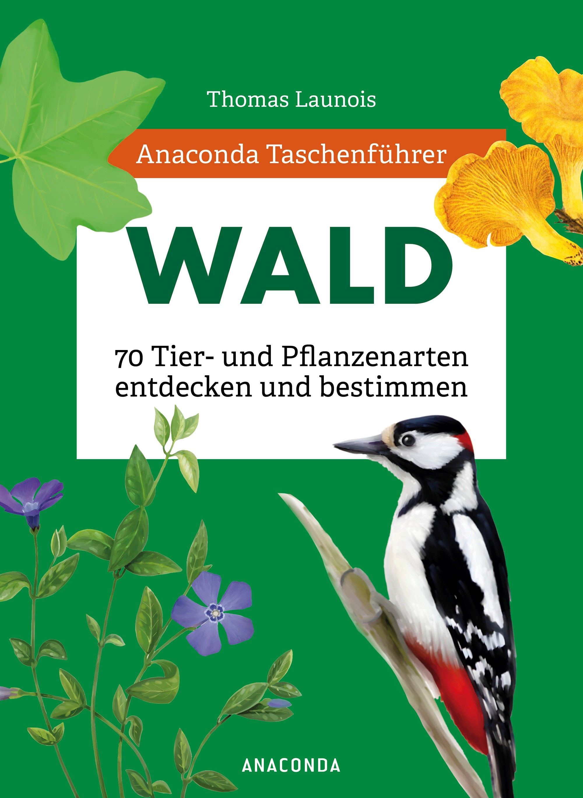 Anaconda Taschenführer Wald - 70 Tier- und Pflanzenarten...